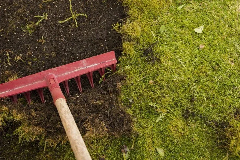 fc23f2fba65d9911300c4bf12e7bc123