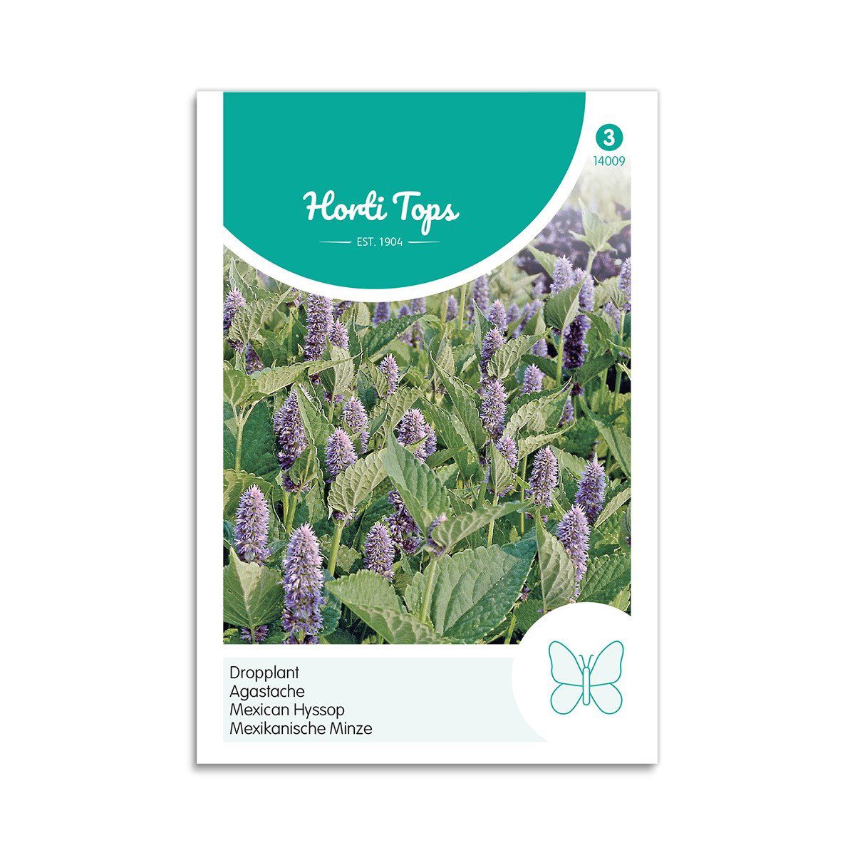 Indianermynte frø - Horti Tops