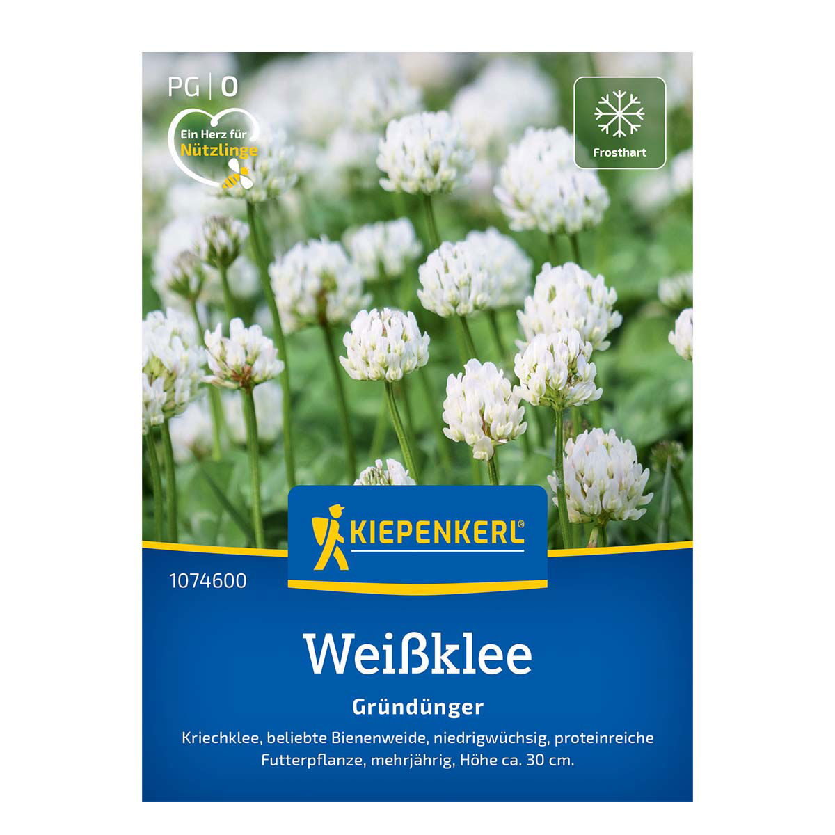 Hvidkløver frø - 30m2