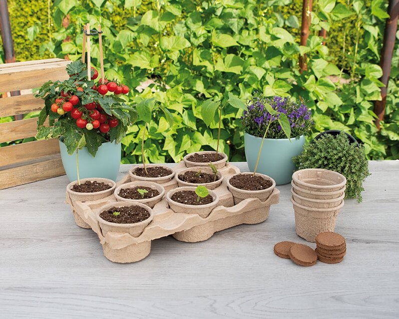 Biologisk nedbrydelige plantepotter med spirer på bord