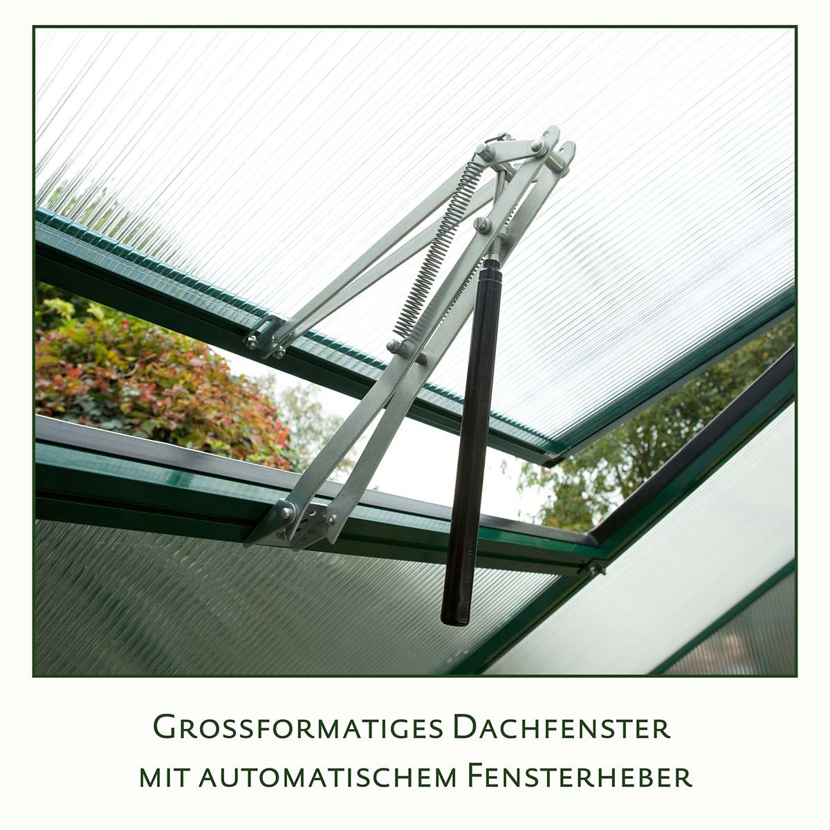Stort drivhus tagvindue med automatisk vinduesåbner