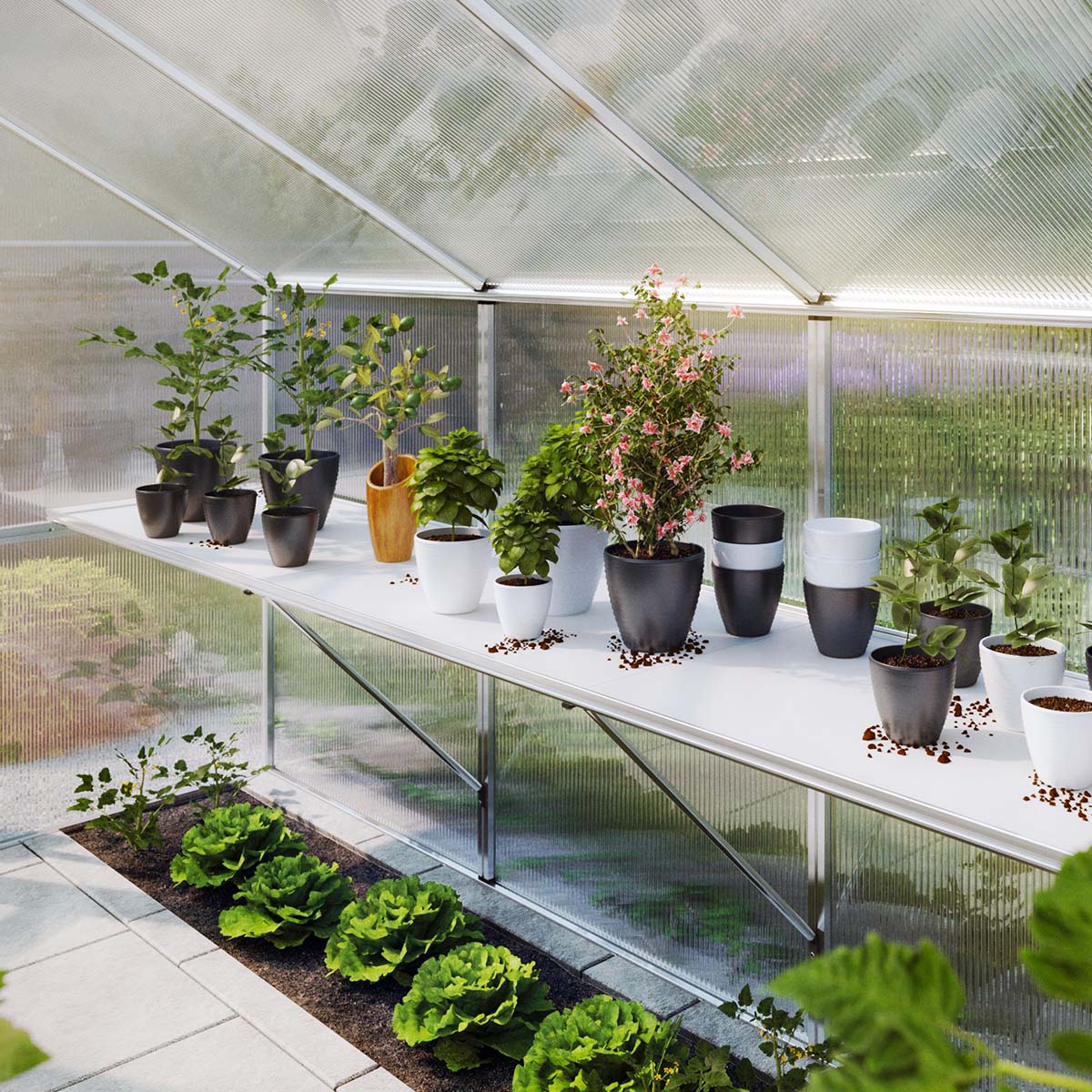 Bordstativ - Orchidee IV