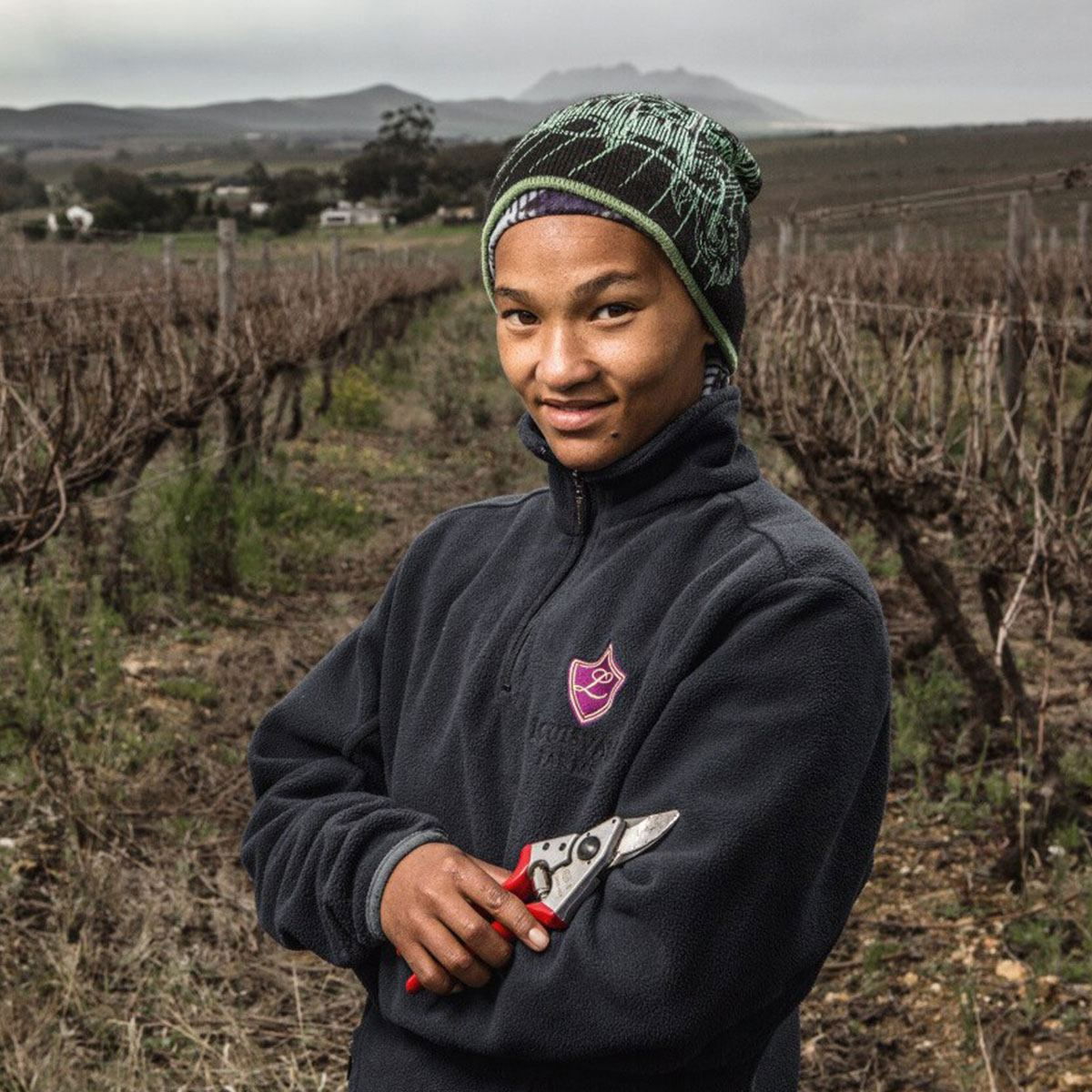 Ung vingårdsarbejder med beskæresaks i vinmark