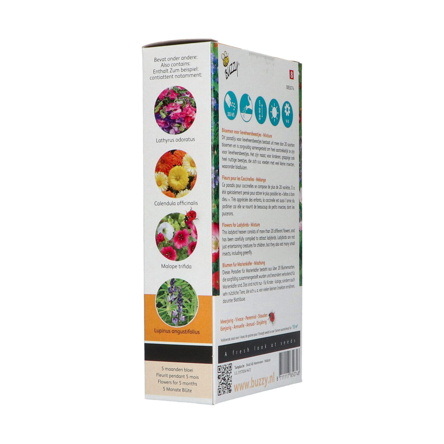 Buzzy blomsterfrøblanding til bestøvende insekter