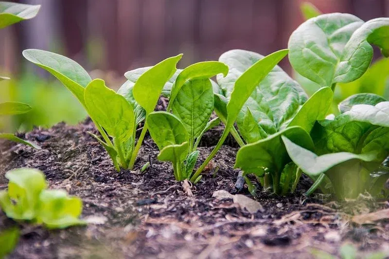 1c228478fa6461fdfbf141ac07f75b6e