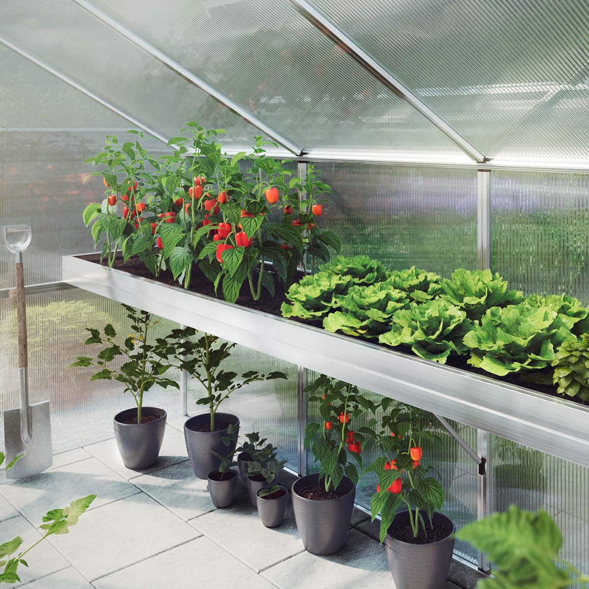 Plantebakke - Callas III