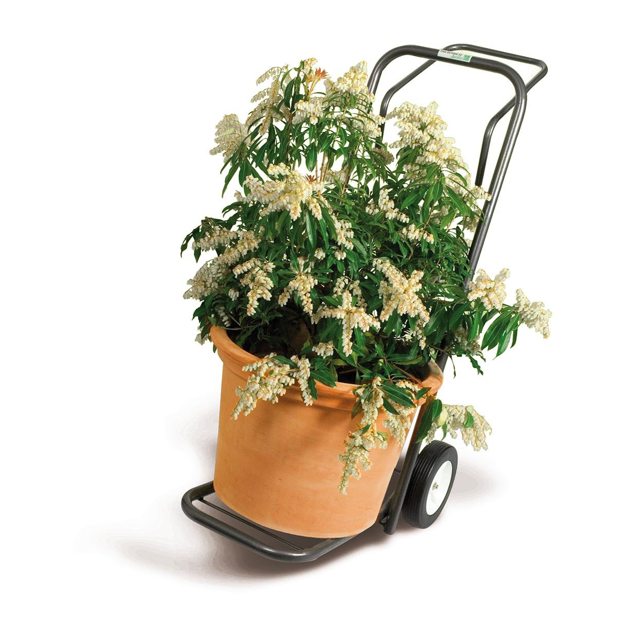 Freund Multifunktions transportvogn - robust metalvogn med hammertone epoxylak, 20 cm gummihjul og op til 80 kg bæreevne Freund Multifunktions transportvogn i metal med hammertone epoxylak, belastet med stor terracotta krukke og blomster; solide 20 cm gummi/plastikhjul og ergonomisk håndtag, velegnet til indendørs og udendørs transport (Freund Victoria)