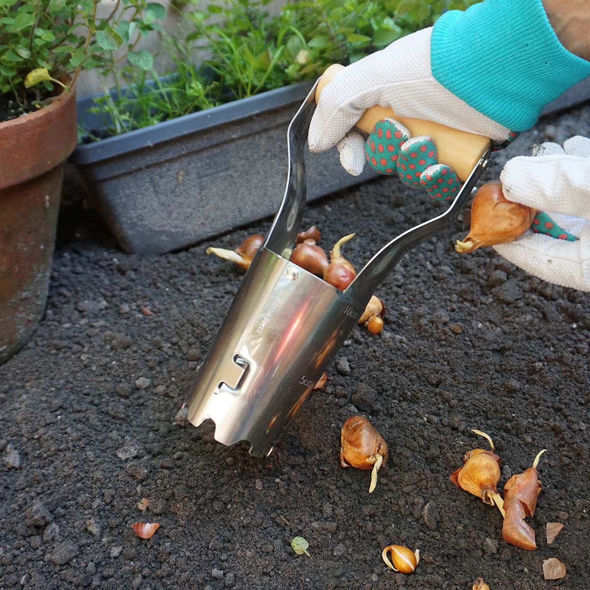 Havearbejde med rustfri løgplanteske i jord