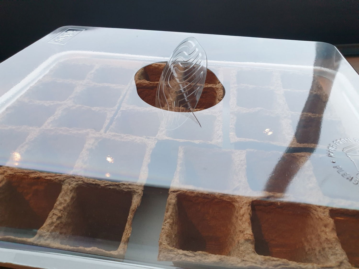 Mini drivhus med tørvepotter og gennemsigtigt låg