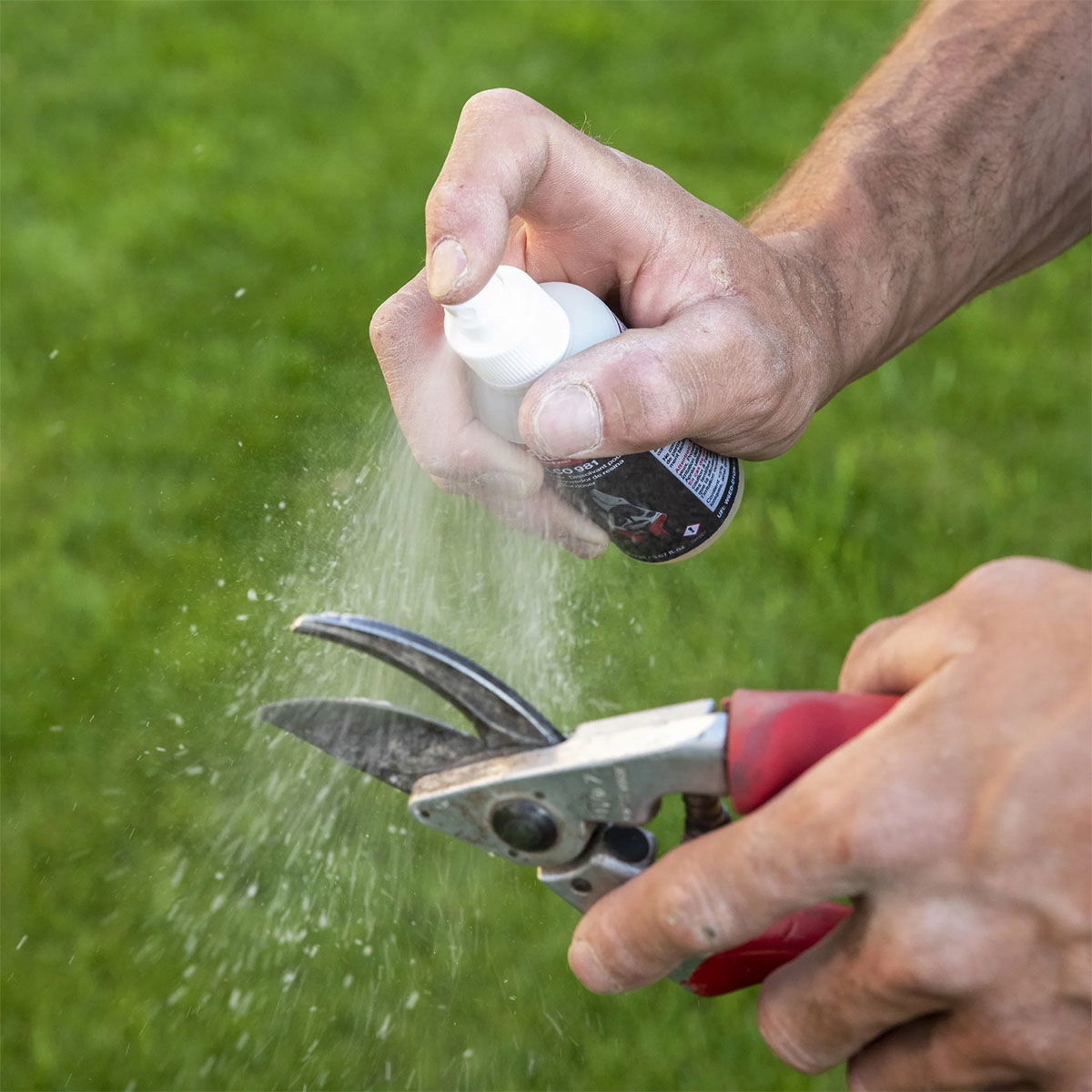 Hånd sprayer smøremiddel på beskæresaks