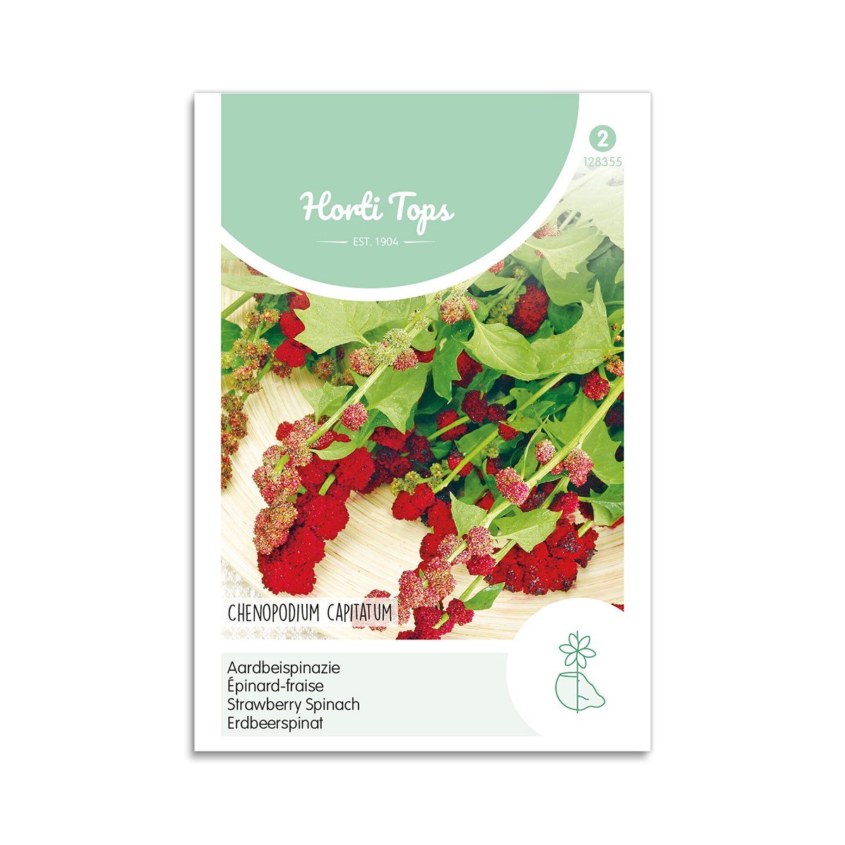 Jordbærspinat frø, Chenopodium Capitatum