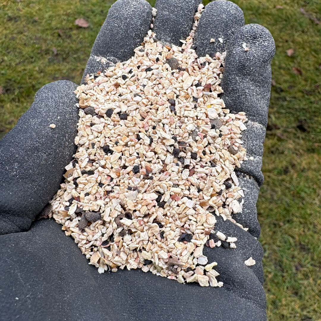 Blomsterblanding, Bi- og insekt blanding - 200m2