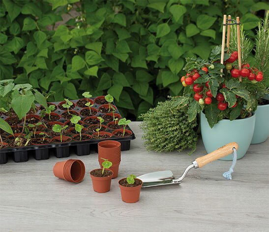 Plantesæt med små potter, krydderurter og plantegreb