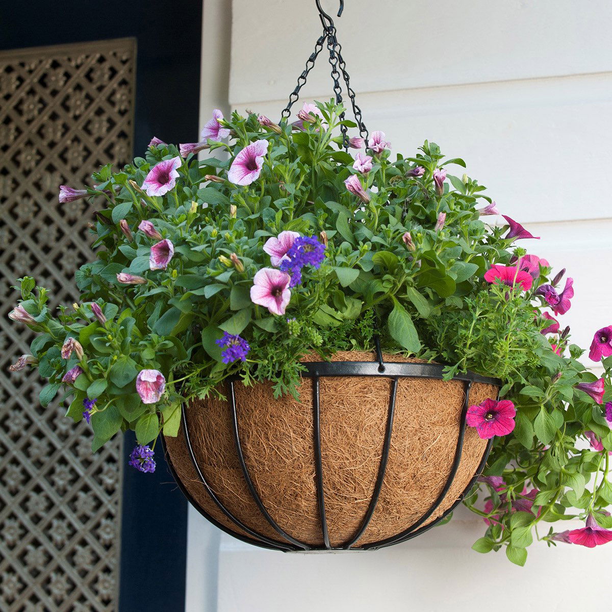 Hængende kurv med lyserøde og lilla petunia