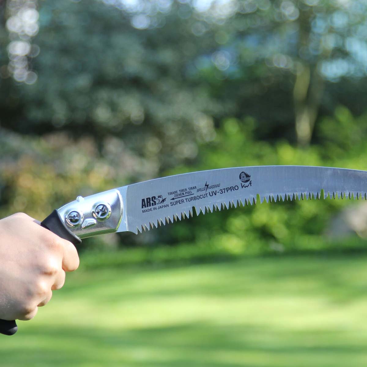 Hånd holder ARS buesav til beskæring i haven