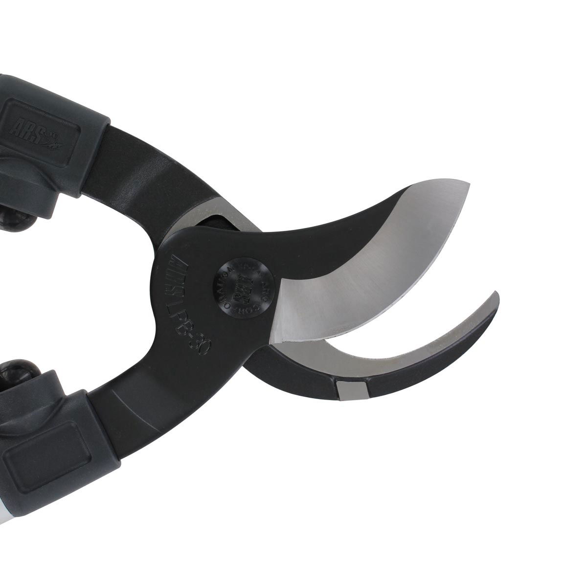 Nærbillede af skarpe blade på grensaks