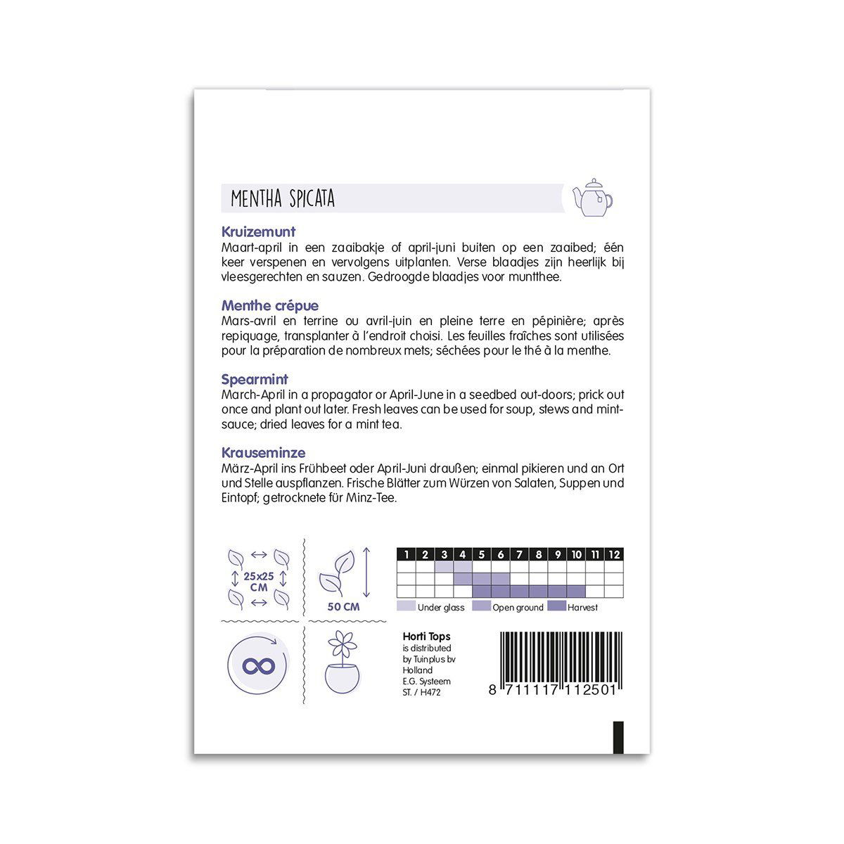 Bagside af frøpose til spearmint Mentha spicata