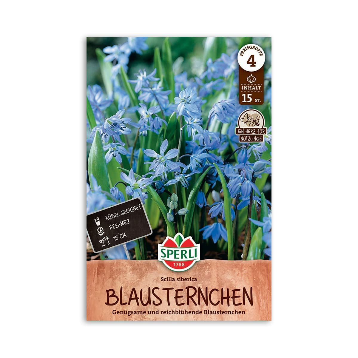 Skilla “Scilla Siberica” - 15 løg