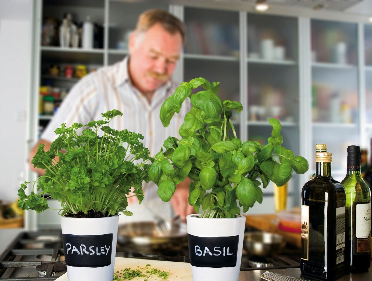 Frisk persille og basilikum i hvide potter i køkken