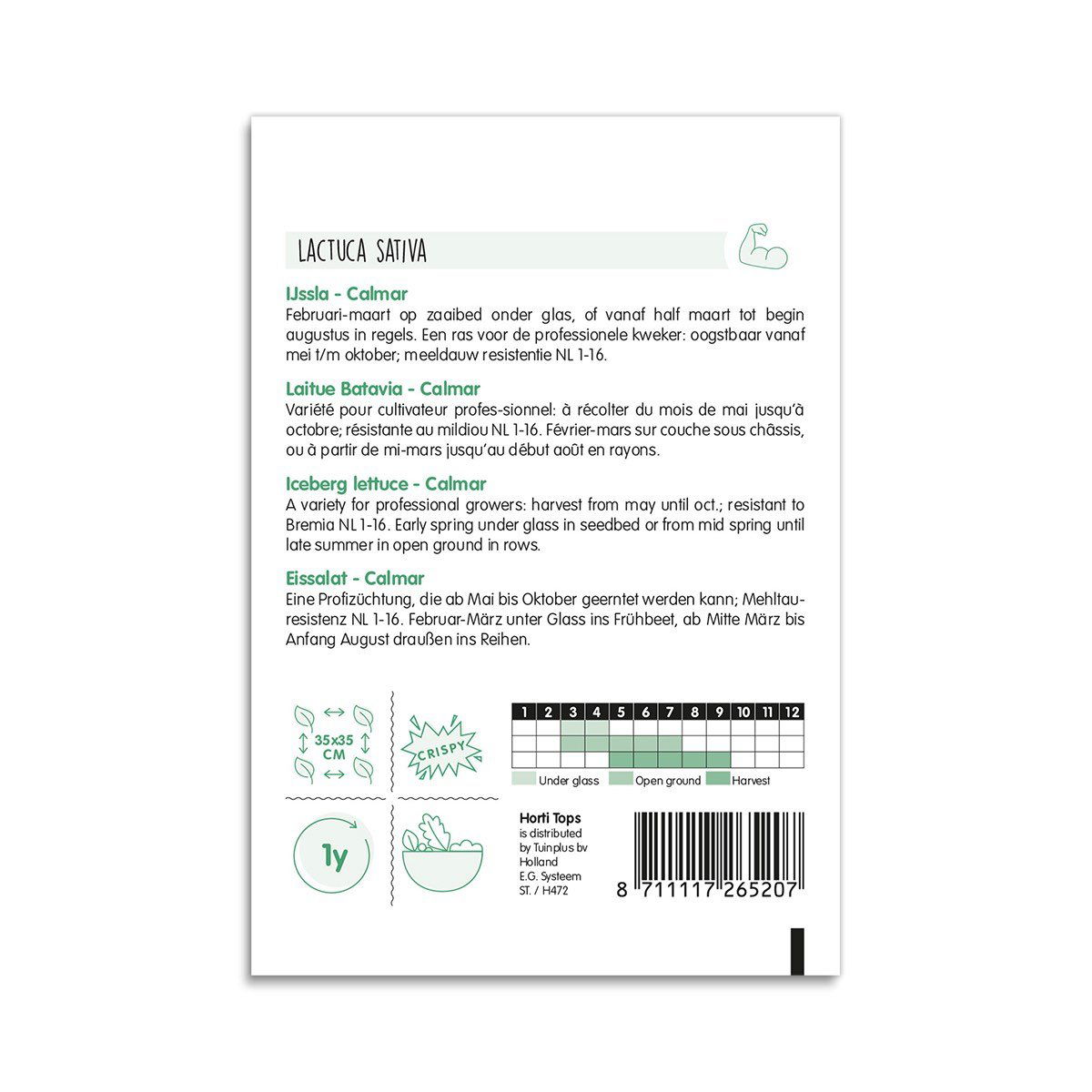 Bagside af isbergsalat Calmar frøpose med tekst og skema