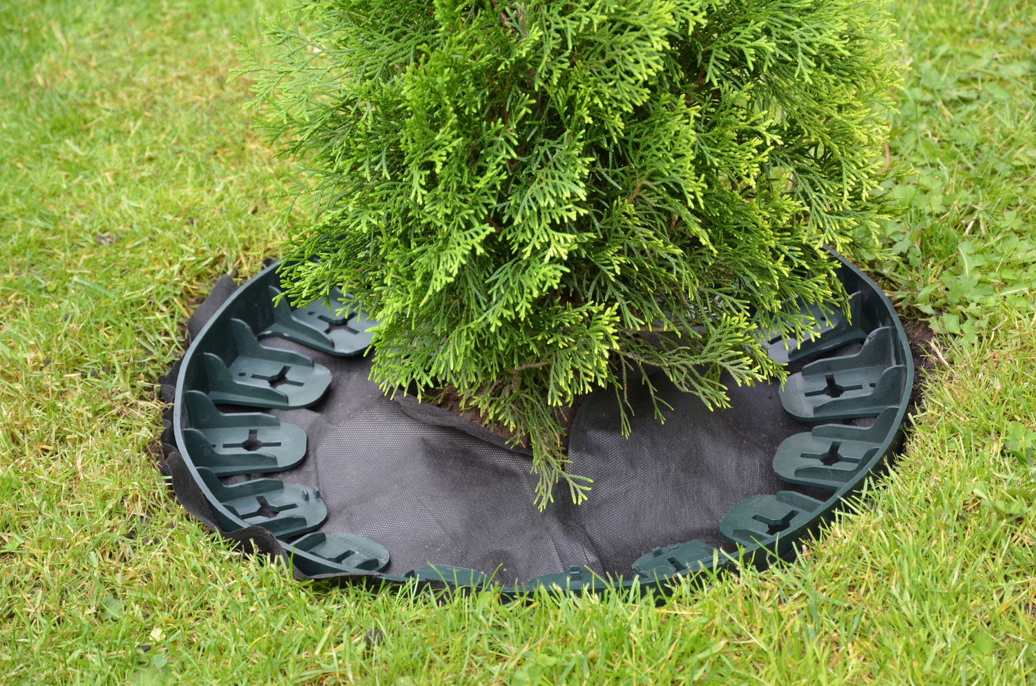 Rund ukrudtsdug med plastkant omkring busk i græsplæne