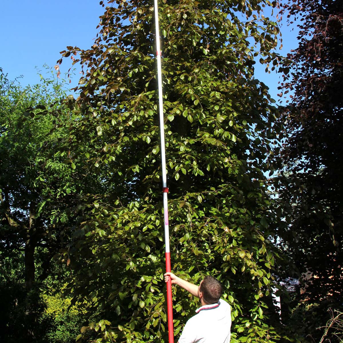 Mand bruger teleskopstang til at beskære højt træ