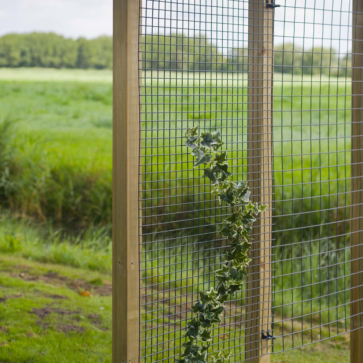 Træhegn med stålnet og vedbend i grøn have