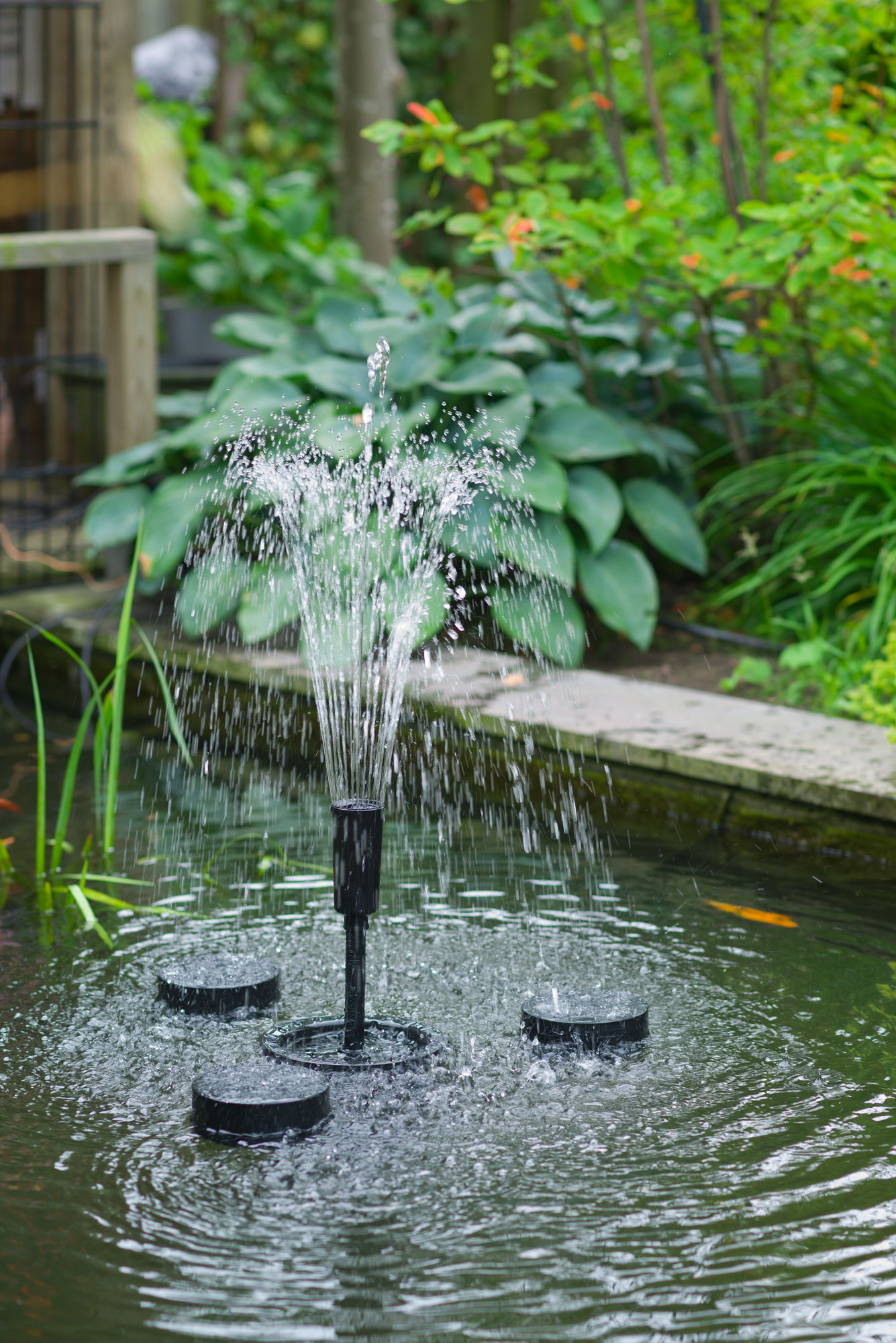 Solcelledrevet springvand i lille havedam