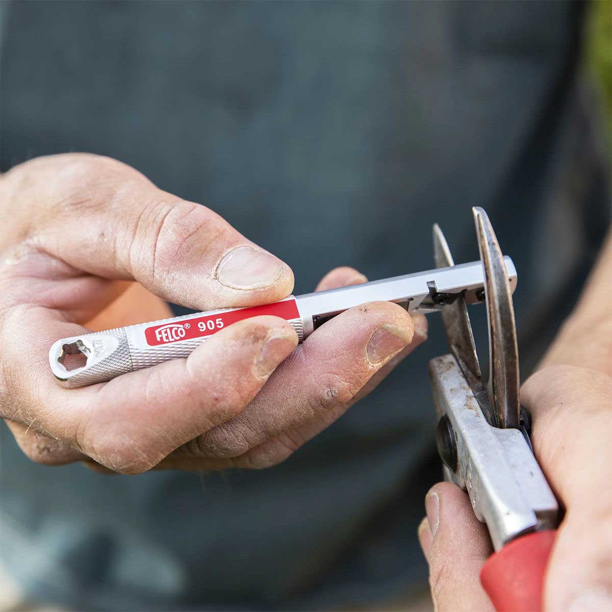 Hånd sliber beskæresaks med FELCO 905 værktøj