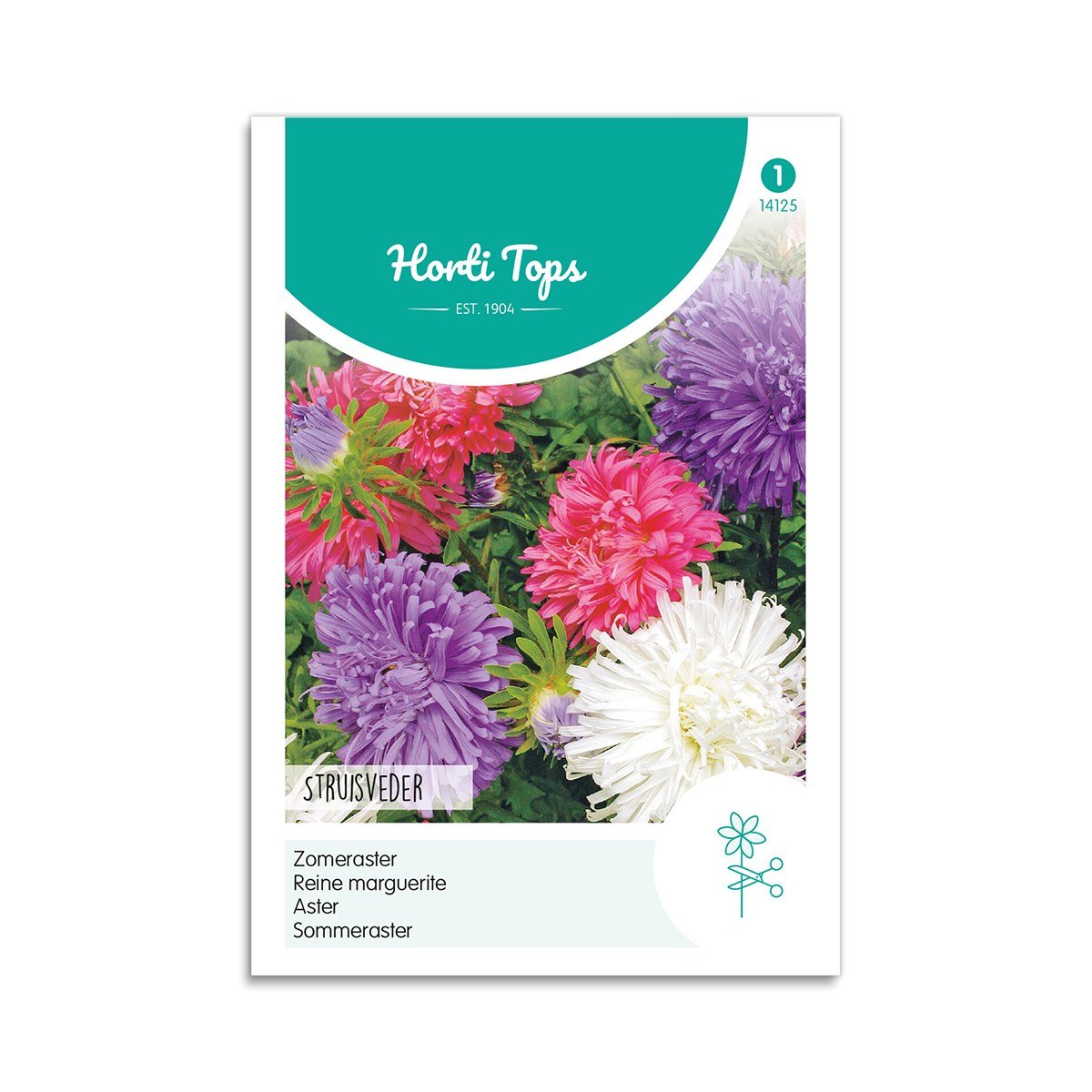 Asters frø mix "Struisveder" - Horti Tops