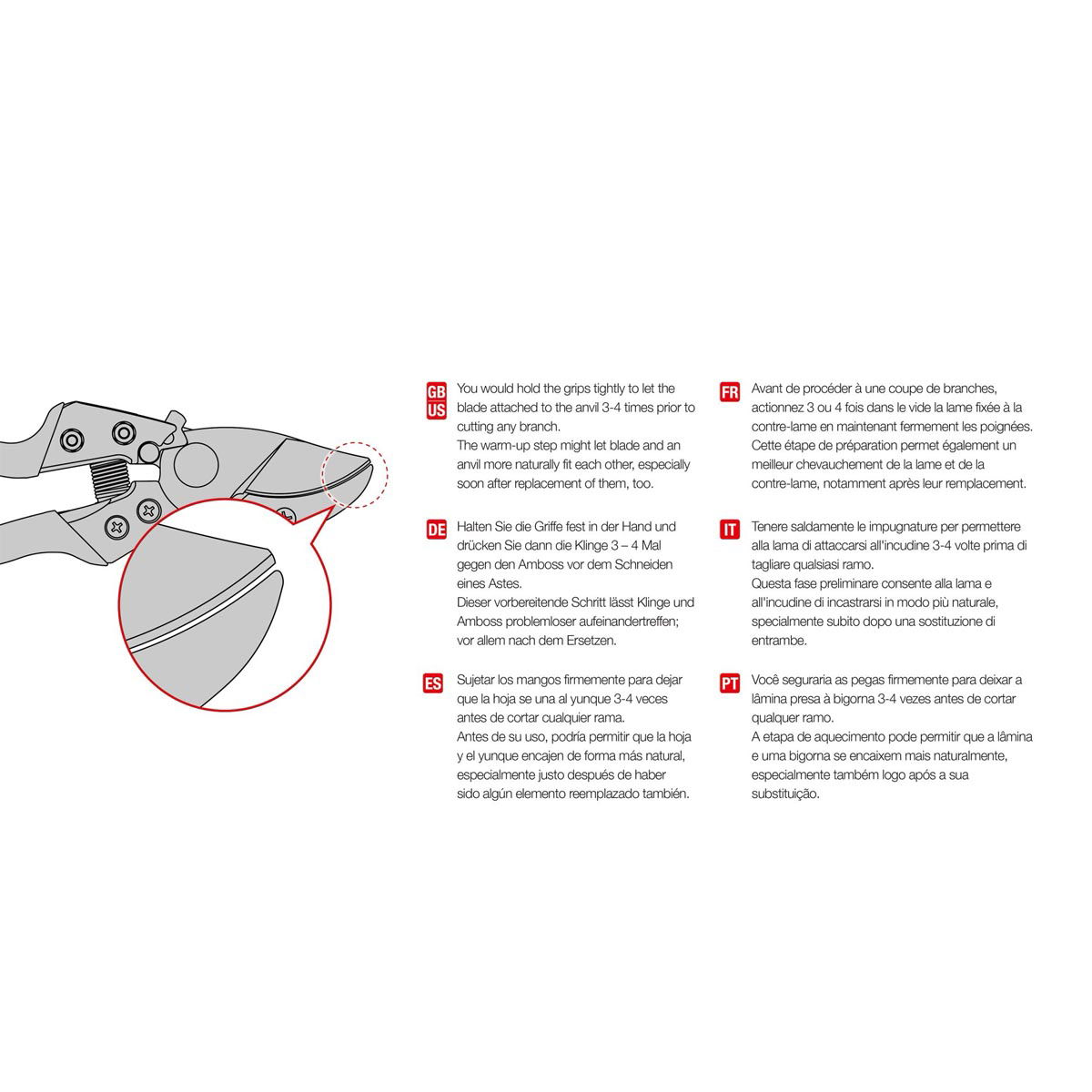 Illustration af beskæringstang og trinvis brugsguide