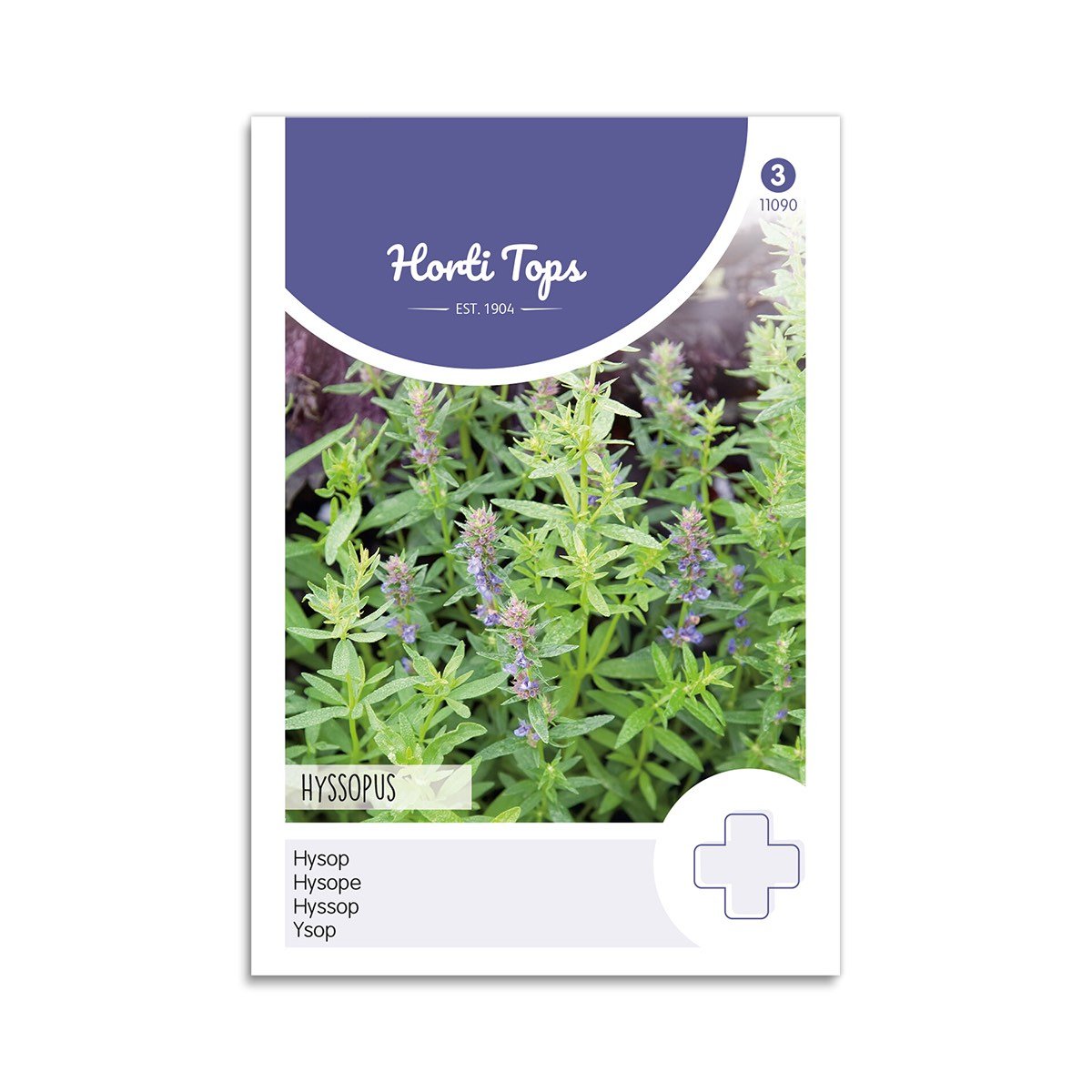 Isop frø "Hyssopus Officinalis"