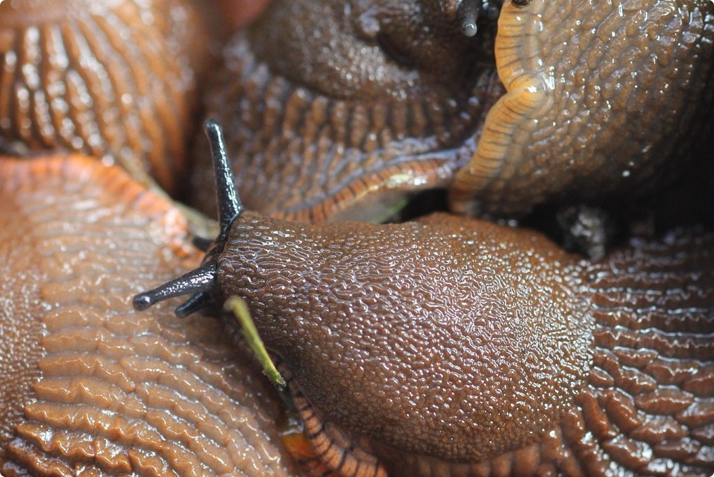 Green-Protect-image2