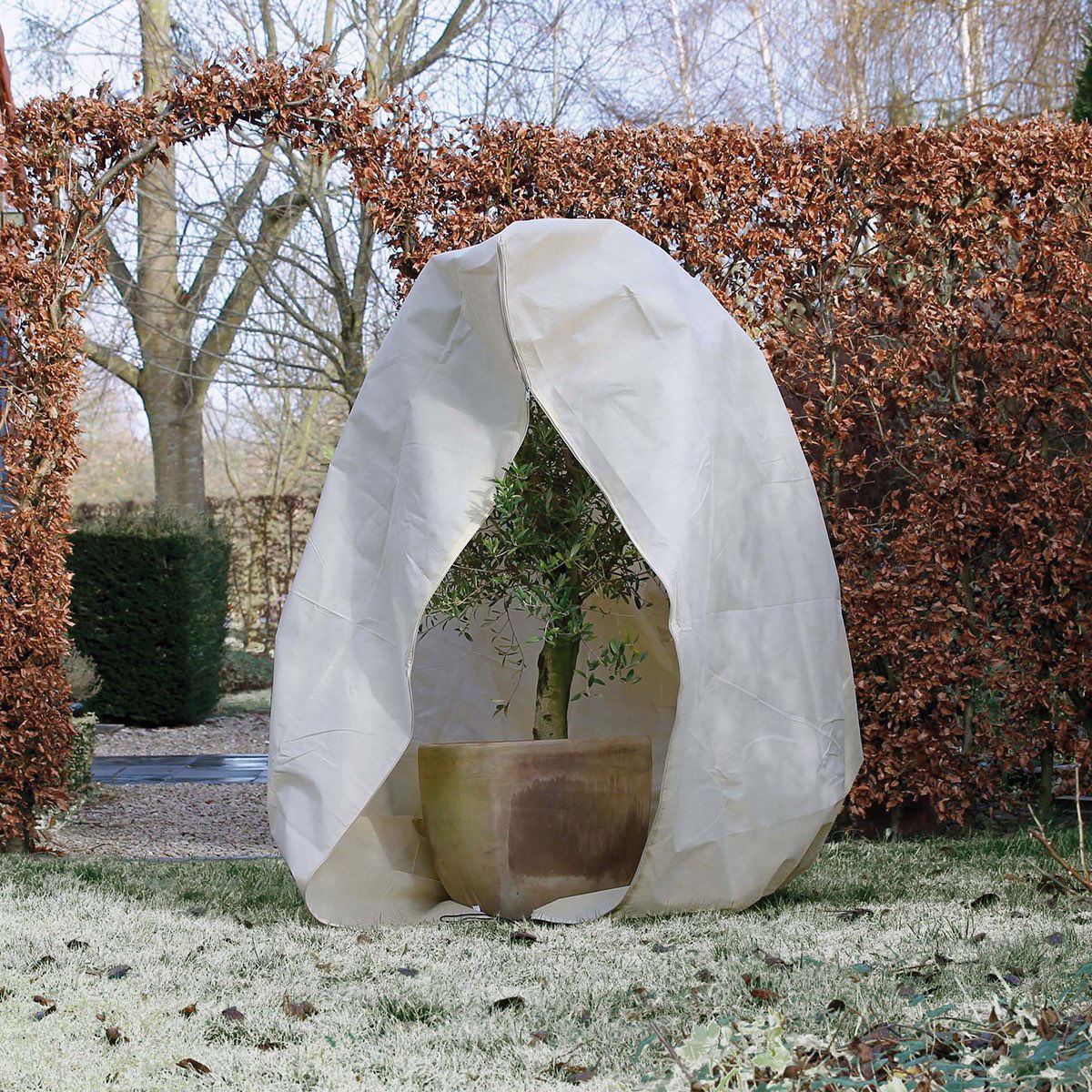 Vinterbeskyttelse til potteplante mod frost i haven