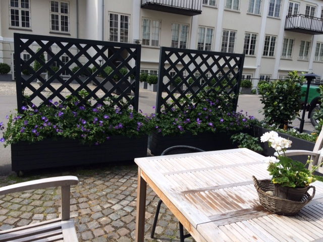 Udendørs gårdhave med blomsterkasser og træbord