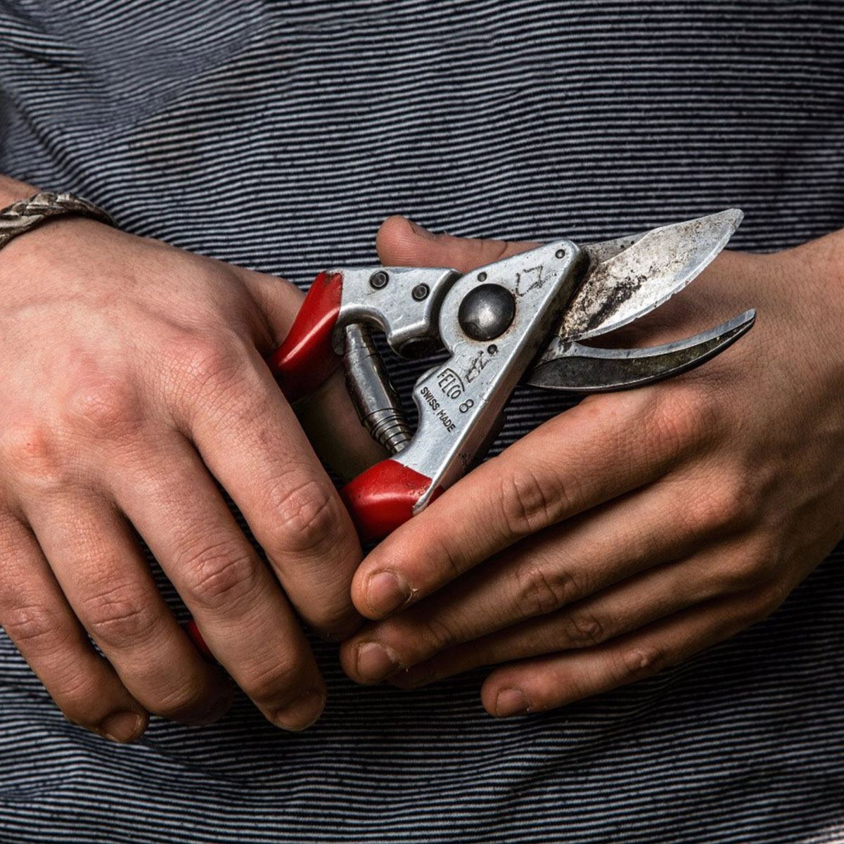 Person holder en rød beskæresaks i hånden