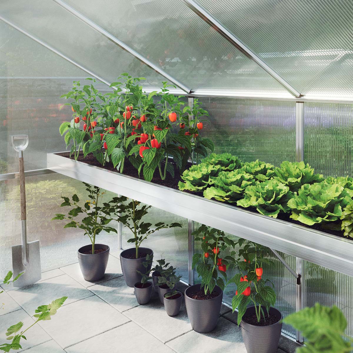 Plantebakke - Santini II - small