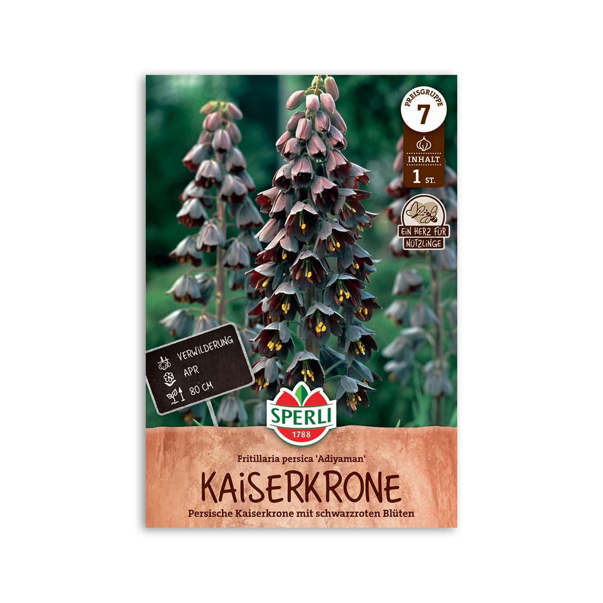 Persisk Kejserkrone  "Adiyaman" - 1 løg