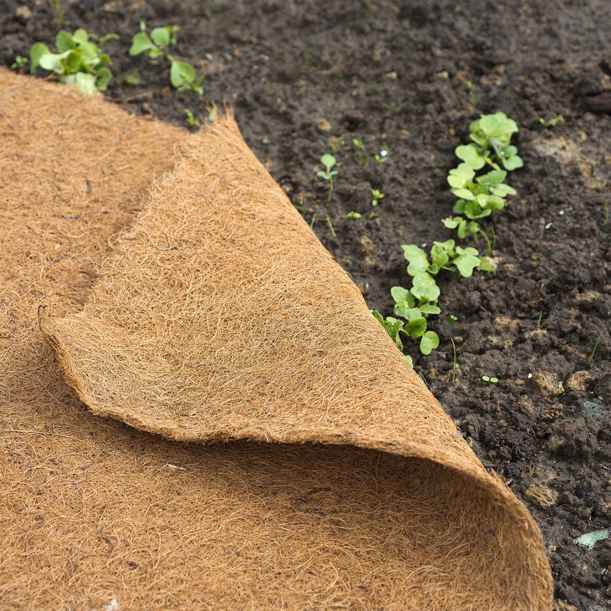 Naturlig kokosmåtte til ukrudtskontrol i bedet