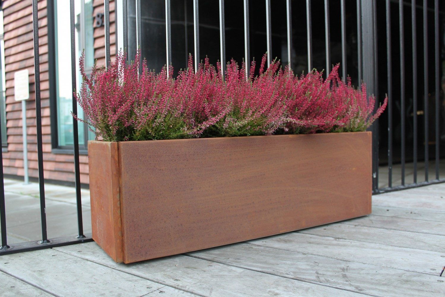 Lang cortenstål plantekasse med lyserød lyng