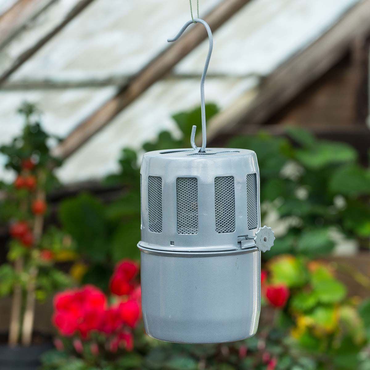 Grå hængende skadedyrsfælde i drivhus