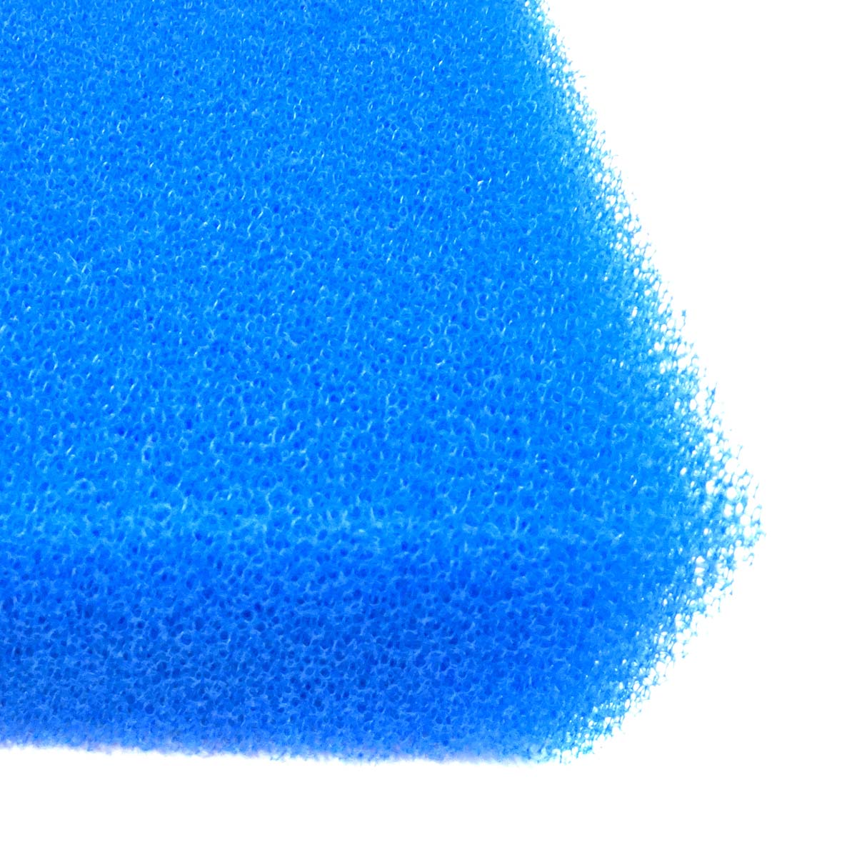 Nærbillede af blåt akvariefilterskum