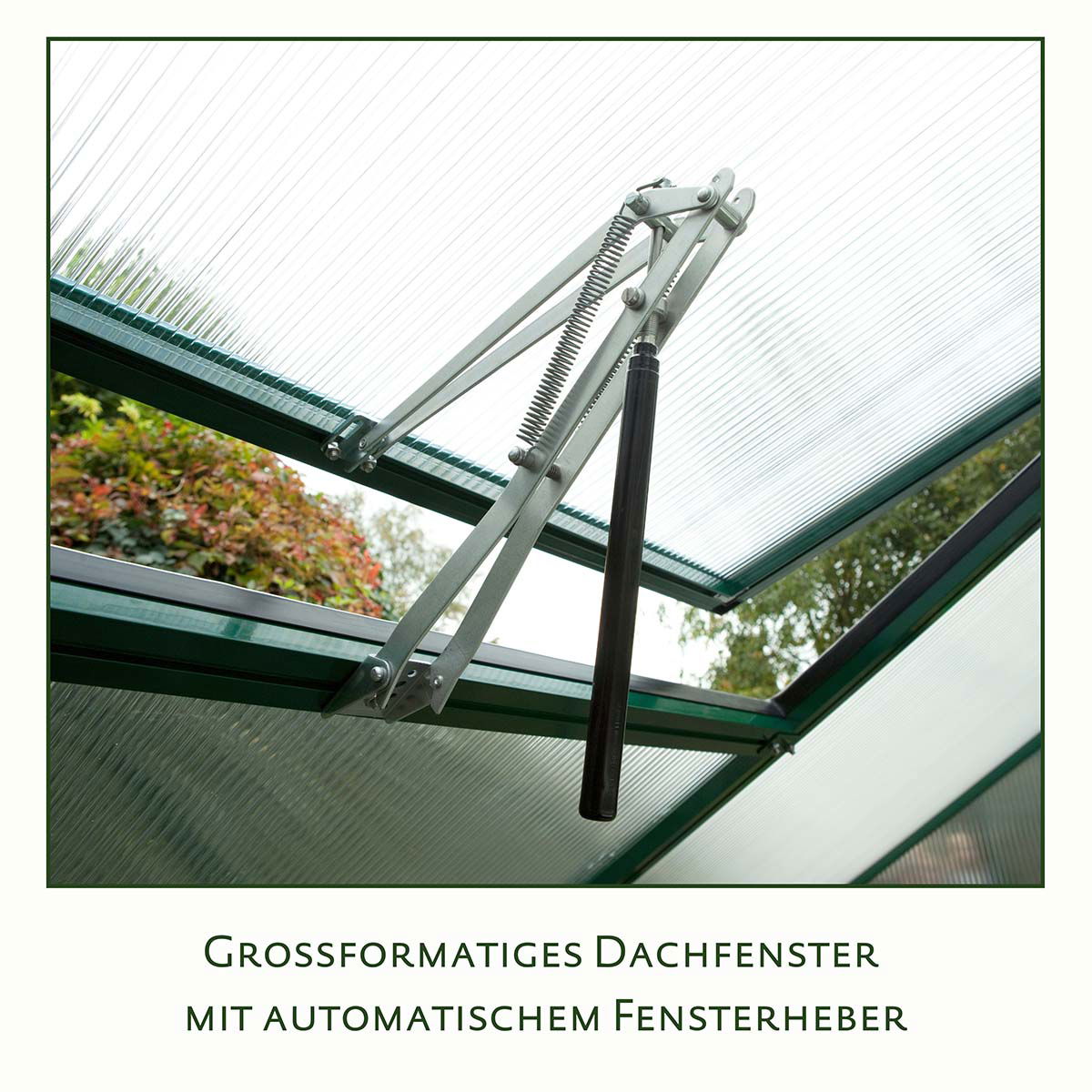 Stort drivhus tagvindue med automatisk åbner