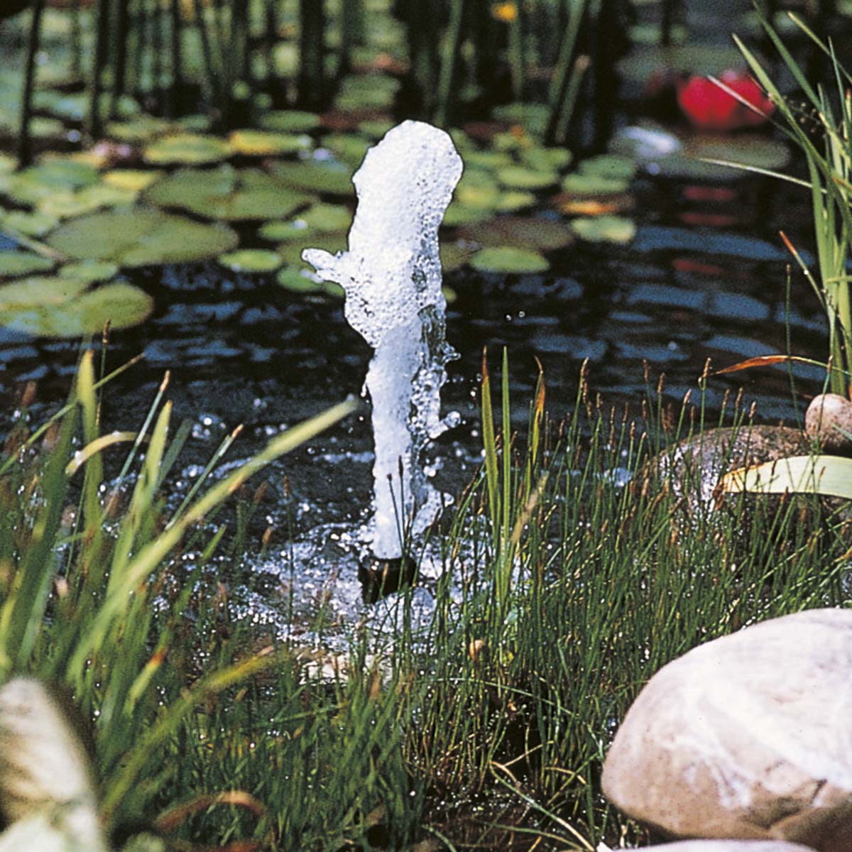 Lille springvand i havedam med siv og sten