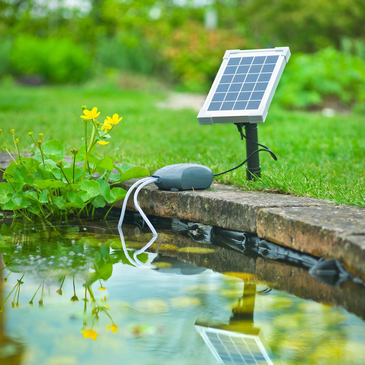 Solcelledrevet luftpumpe ved lille havedam