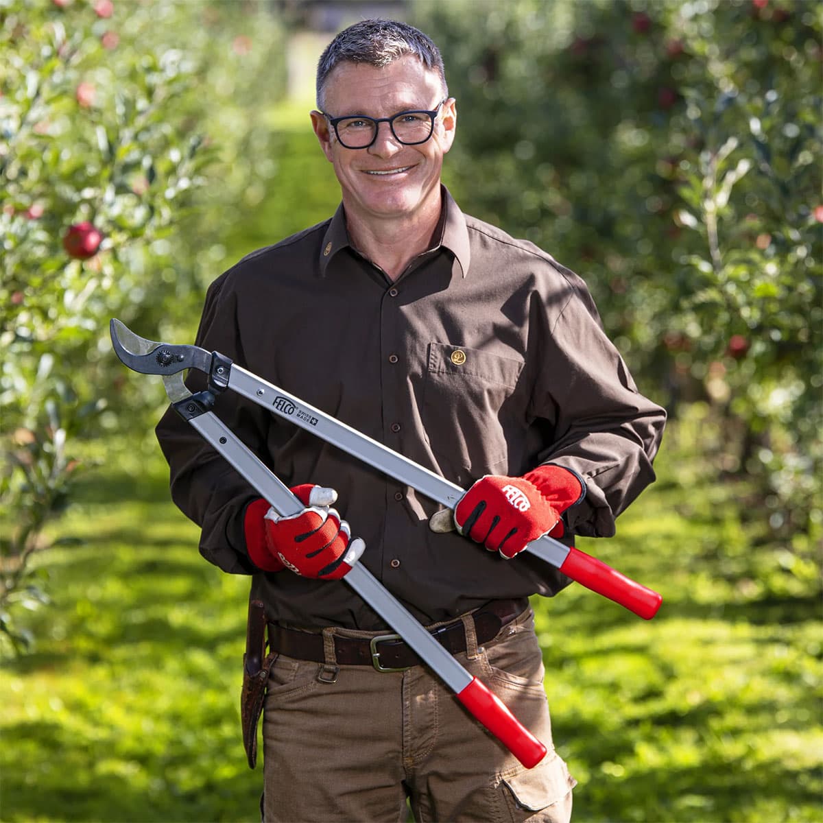 Mand i frugtplantage holder stor Felco grensaks