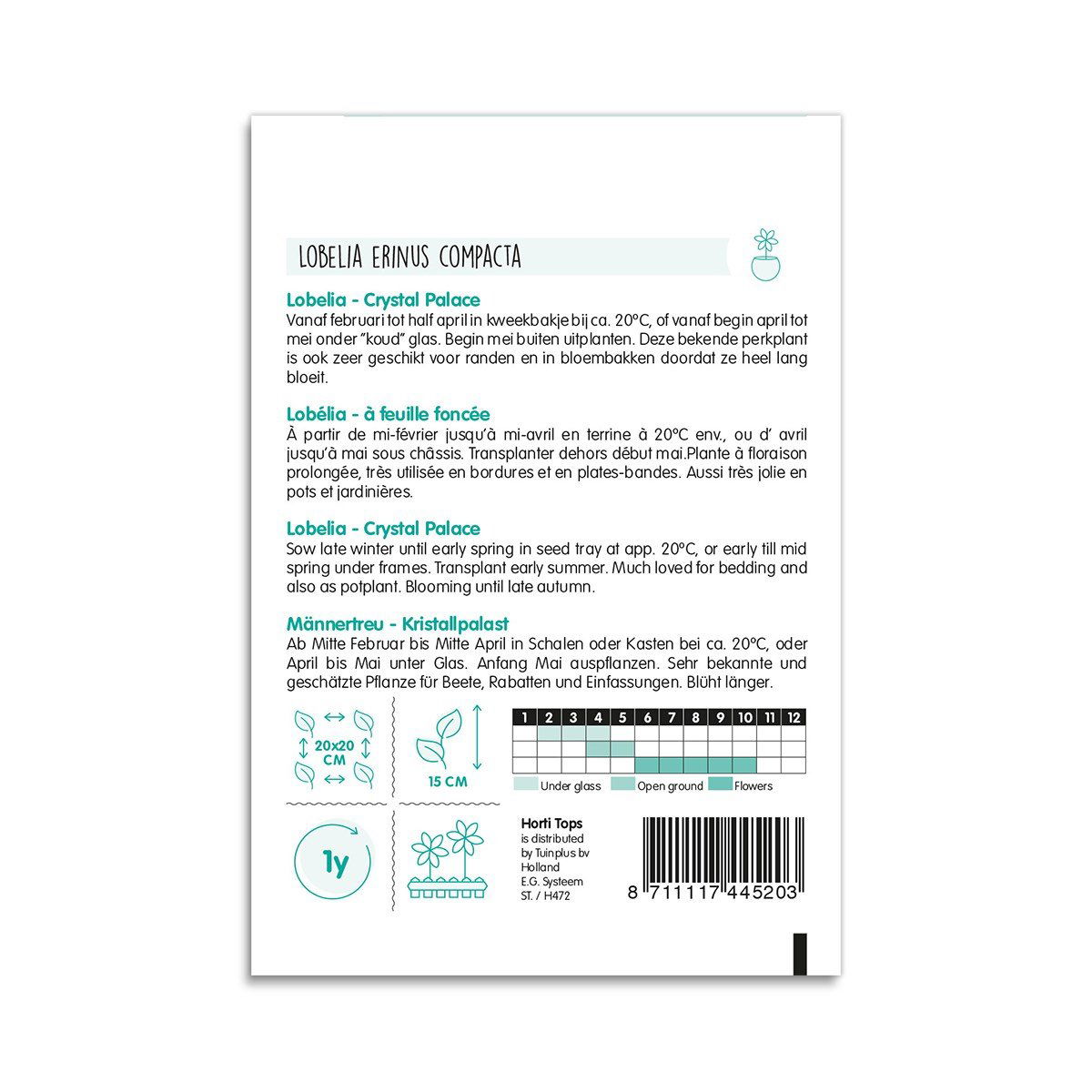 Bagside af Lobelia erinus compacta frøpose