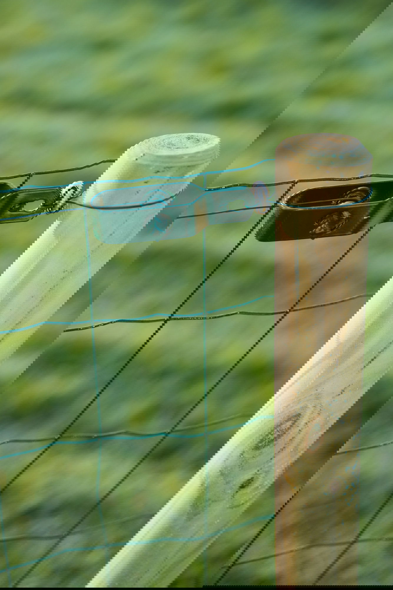 Trådstrammere m. PVC-belægning, inkl. 2 strammere pins