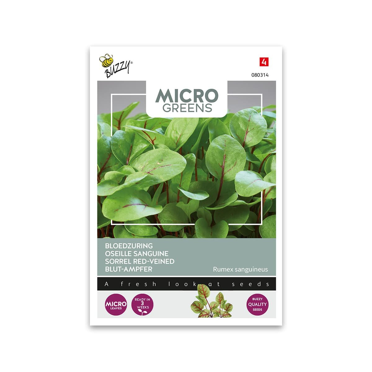 Mikrogrønt Rødbladet syre frø