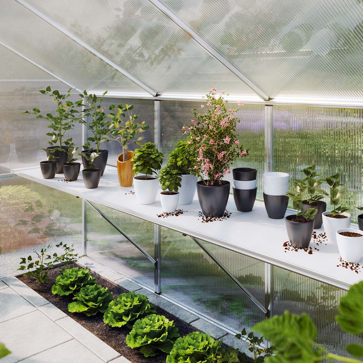 Bordstativ - Rhodo III